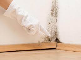 Best Real Estate Mold Inspection  in Morristown, IN